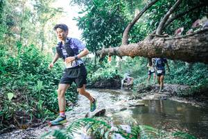 BIB: 
                            <button type="button" onclick="openModal(25434024)" class="btn btn-primary btn-sm float-right btn-popup" data-toggle="modal" data-target=".modal-high-quality">
                        <i class="fas fa-shopping-cart"></i> Add to Cart
                    </button>
                                            <button type="button" onclick="isThisMe(25434024, true)" class="btn btn-success btn-sm float-right btn-popup btn-isme hidden" data-toggle="tooltip" data-placement="bottom" title="นี่คือรูปของคุณใช่ไหม คลิกที่นี่เพื่อเอาเข้าอัลบั้ม">
                        <i class="fas fa-plus"></i> Add to album
                    </button>
                    <button type="button" onclick="isThisMe(25434024, false)" class="btn btn-warning btn-sm float-right btn-popup btn-isnotme hidden">
                        <i class="fas fa-ban"></i> Remove from album
                    </button>